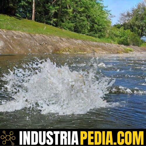 Velocidad de Flujo: Concepto Fundamental y Aplicaciones